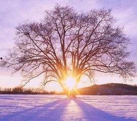 1024国产基地在线